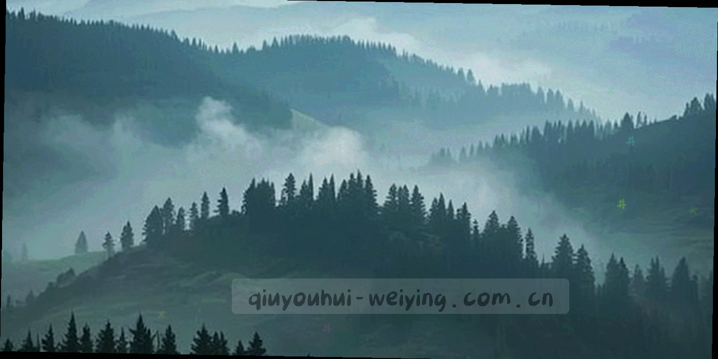 深色背景上由节点与折线构成的抽象轨迹图，呈现规则整理一路走来的脉络